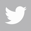twitter button